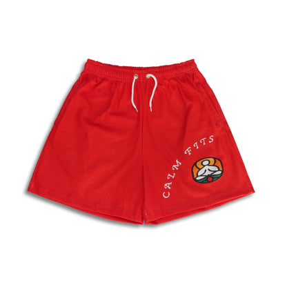 Mesh Shorts