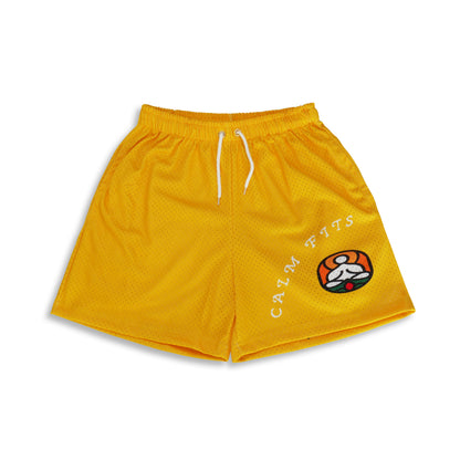 Mesh Shorts